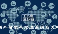 加密货币项目团队解散的