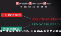 如何下载和使用Bit钱包：全面指南与常见问题解