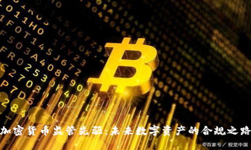 加密货币监管先驱：未来数字资产的合规之路