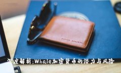 深度解析：Whale加密货币的