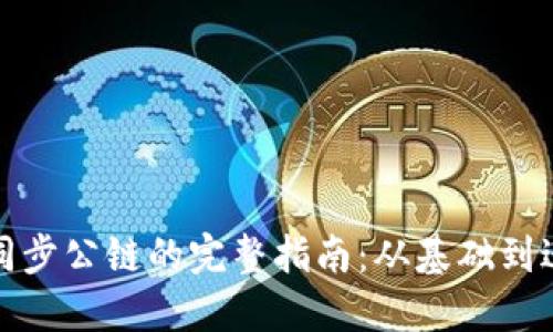 TP钱包同步公链的完整指南：从基础到进阶操作