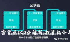 2023年加密货币ICO全解析：投资机会与风险评估