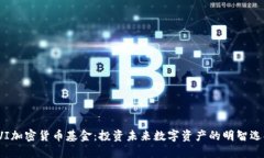 FVI加密货币基金：投资未来数字资产的明智选择
