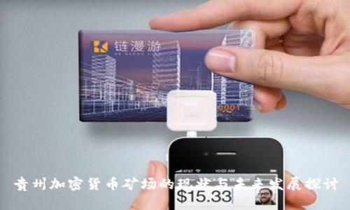 贵州加密货币矿场的现状与未来发展探讨