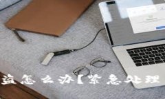 TP钱包U被盗怎么办？紧急