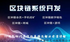 TP钱包的闪兑慢的原因及解决方案详解