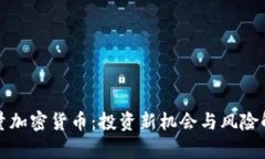 限量加密货币：投资新机会与风险解析