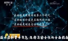   国内虚拟货币钱包：选择与安全性的全面指南