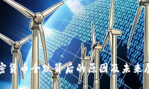 加密货币全跌背后的原因及未来展望