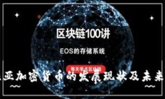 利比亚加密货币的发展现