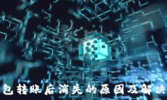   TP钱包转账后消失的原因及解决方案