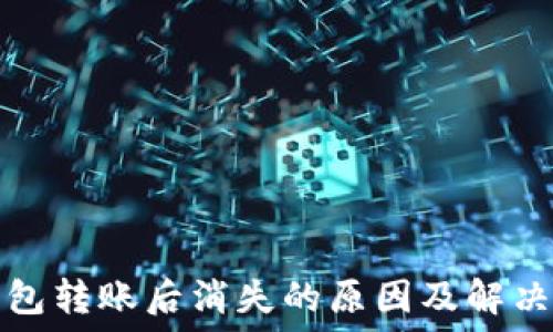   
TP钱包转账后消失的原因及解决方案