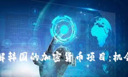 深入了解韩国的加密货币项目：机会与挑战