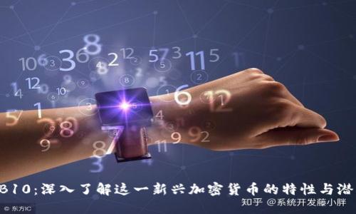 HB10：深入了解这一新兴加密货币的特性与潜力