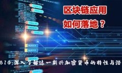 HB10：深入了解这一新兴加