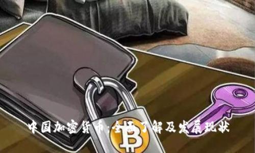 中国加密货币：全面了解及发展现状