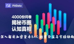 深入解析加密货币BAC：投