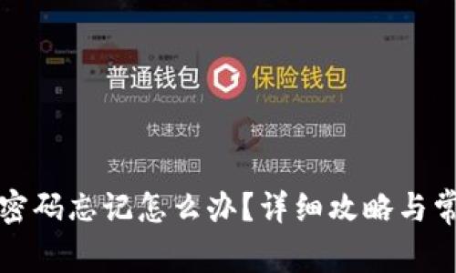 TP钱包支付密码忘记怎么办？详细攻略与常见疑问解答