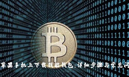 如何在苹果手机上下载钱能钱包：详细步骤与常见问题解答