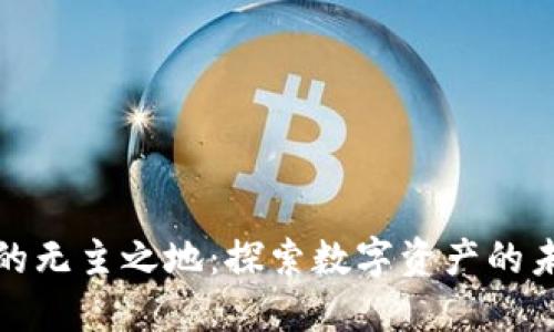 加密货币的无主之地：探索数字资产的未来与挑战