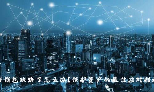 TP钱包跑路了怎么办？保护资产的最佳应对措施