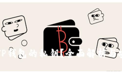 什么是TP钱包的私钥？全面解析与安全保护