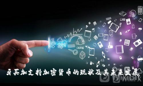 牙买加支持加密货币的现状及其未来发展