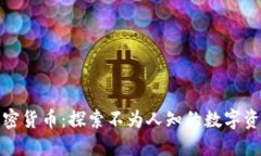 小众加密货币：探索不为