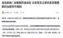 虚拟币钱包推荐：选择安