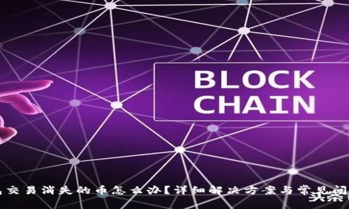 TP钱包交易消失的币怎么办？详细解决方案与常见问题解析
