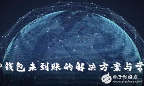 IM钱包转TP钱包未到账的解决方案与常见问题解析