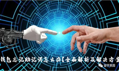 钱包忘记助记词怎么办？全面解析及解决方案
