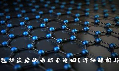 TP钱包被盗后的币能否追回？详细解析与建议