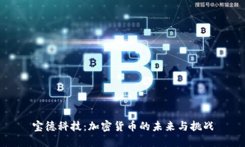 宝德科技：加密货币的未来与挑战