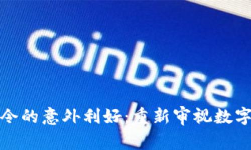 加密货币禁令的意外利好：重新审视数字资产的未来