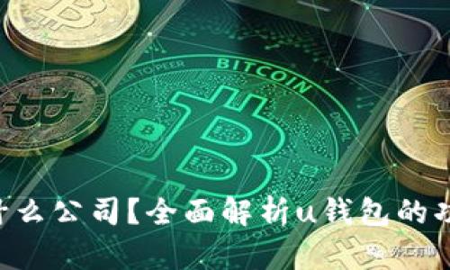 u钱包是什么公司？全面解析u钱包的功能与特点