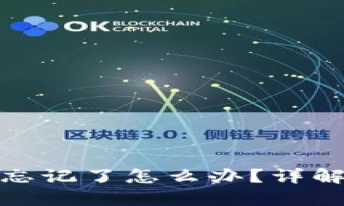 TP钱包钥匙密钥忘记了怎么办？详解找回和安全措施