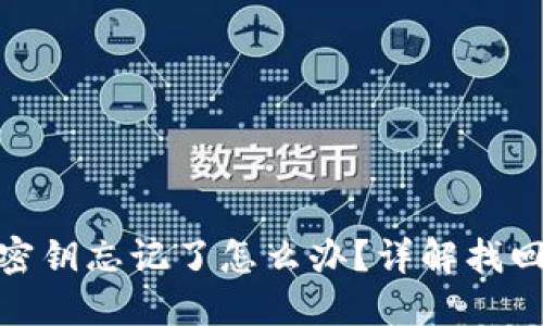 TP钱包钥匙密钥忘记了怎么办？详解找回和安全措施