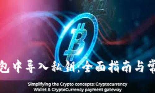 如何在TP钱包中导入私钥：全面指南与常见问题解答