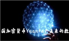 深入解析中国加密货币Y