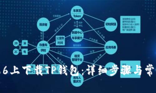 如何在苹果6上下载TP钱包：详细步骤与常见问题解答