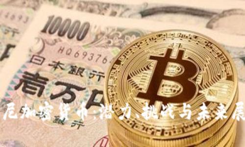 索尼加密货币：潜力、挑战与未来展望