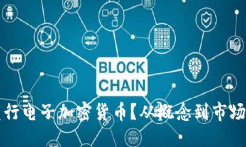 如何成功发行电子加密货币？从概念到市场的全面指南