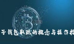 电子钱包取现的概念与操作指南