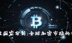 加密货币发展最佳国家分析：全球加密市场的领
