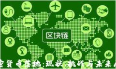 加密货币落地：现状、挑战与未来展望