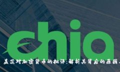 比尔·盖茨对加密货币的批评：解析其背后的原因