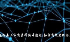 TP钱包选未上市交易所新币