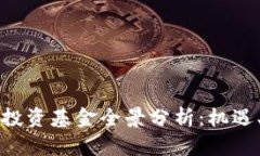 新加坡加密货币投资基金