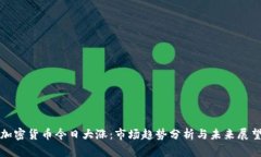 加密货币今日大涨：市场